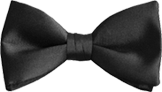 Load image into Gallery viewer, Bow tie B
